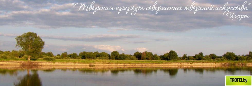 Белорусская природа
