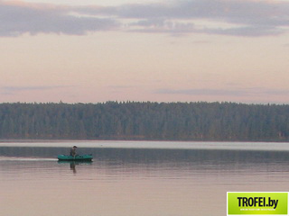 как искать рыбу