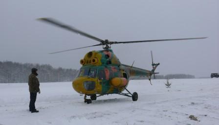 Охота на волка в Беларуси с вертолета