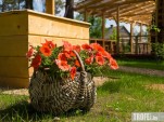 Конкурс «Лучшая агроэкоусадьба 2016 года»