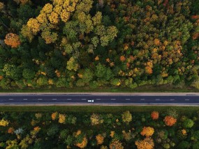 Осень в Instagram, Беларусь