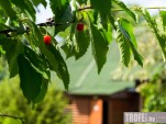 Семинар по сельскому туризму